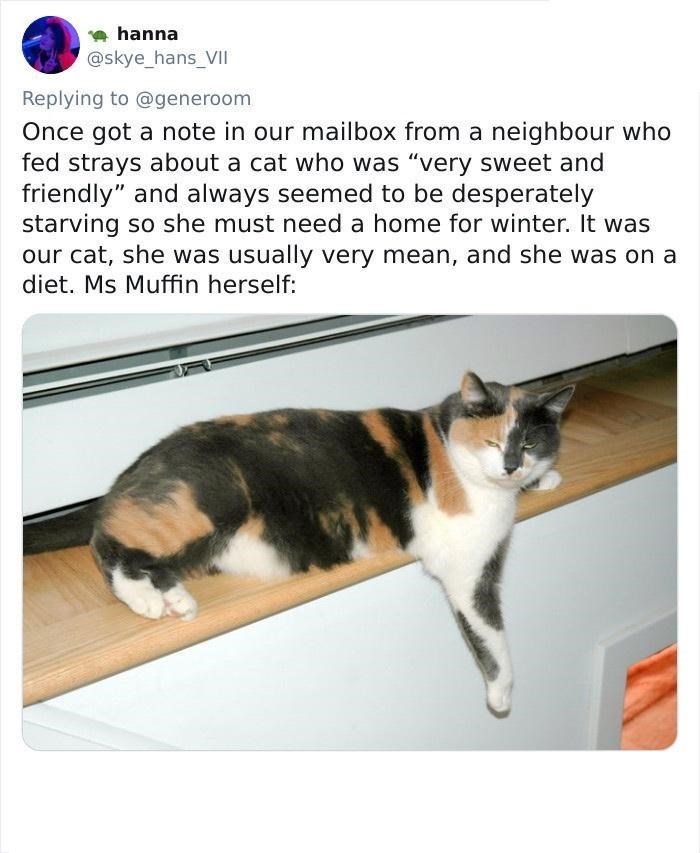 hanna @skye_hans_VII Replying to @generoom Once got a note in our mailbox from a neighbour who fed strays about a cat who was "very sweet and friendly" and always seemed to be desperately starving so she must need a home for winter. It was our cat, she was usually very mean, and she was on a diet. Ms Muffin herself:
