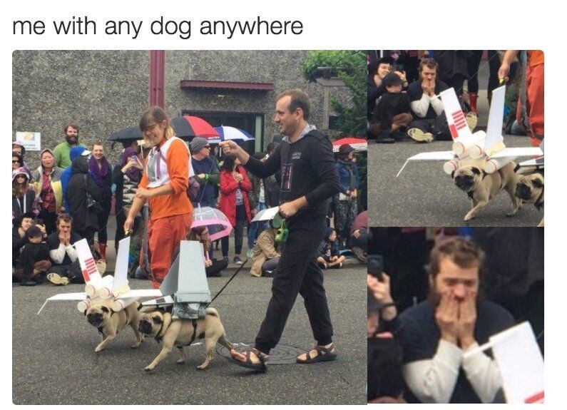 me with any dog anywhere