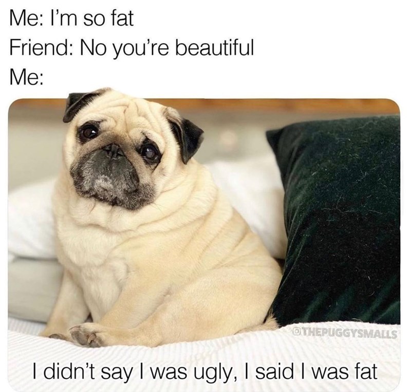 Me: I'm so fat Friend: No you're beautiful Me: OTHEPUGGYSMALLS I didn't say I was ugly, I said I was fat