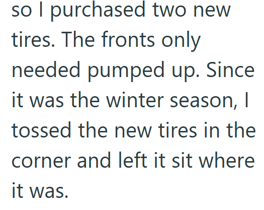 so I purchased two new tires. The fronts only needed pumped up. Since it was the winter season, I tossed the new tires in the corner and left it sit where it was.