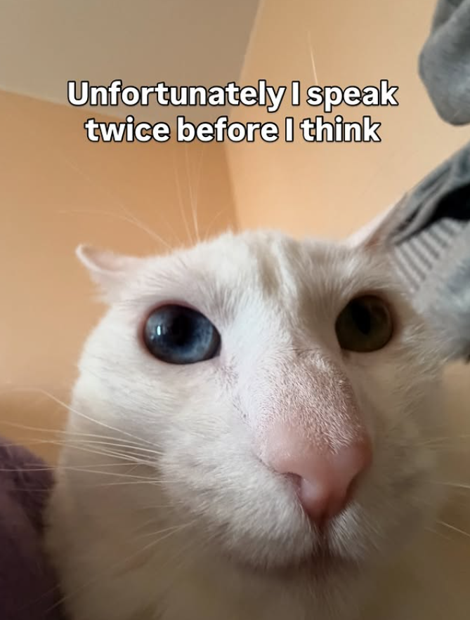 Unfortunately I speak twice before I think