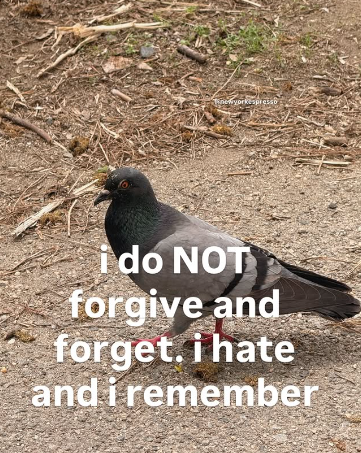 Chewyorkespresso ido NOT forgive and forget. i hate and i remember