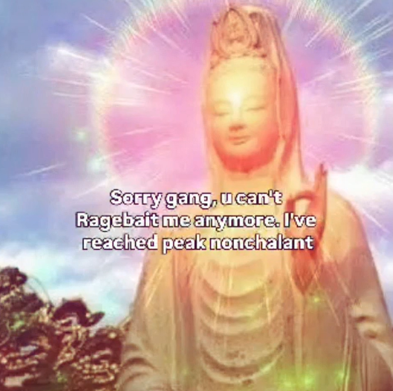 Sorry gang, u can't Ragebait me anymore. I've reached peak nonchalant