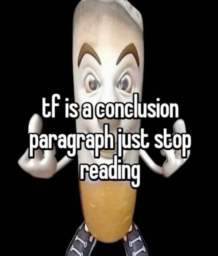 tf is a conclusion paragraph just stop reading 11