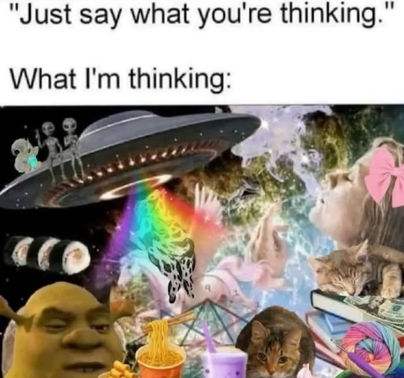 "Just say what you're thinking." What I'm thinking: