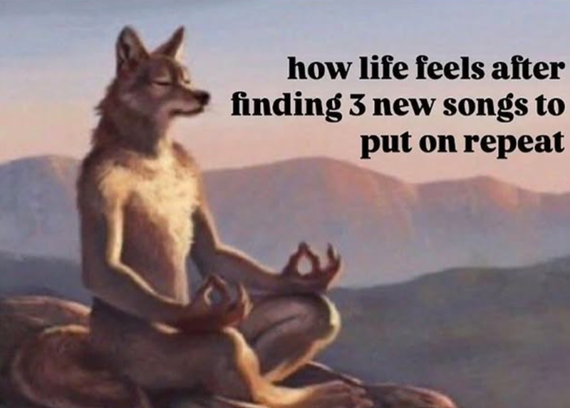 how life feels after finding 3 new songs to put on repeat