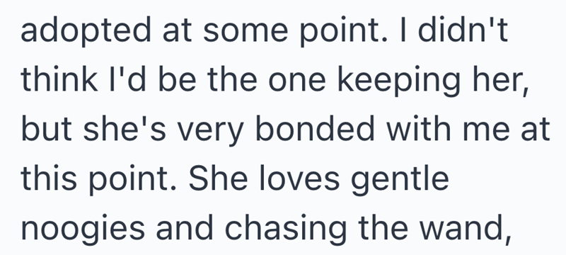 adopted at some point. I didn't think I'd be the one keeping her, but she's very bonded with me at this point. She loves gentle noogies and chasing the wand,