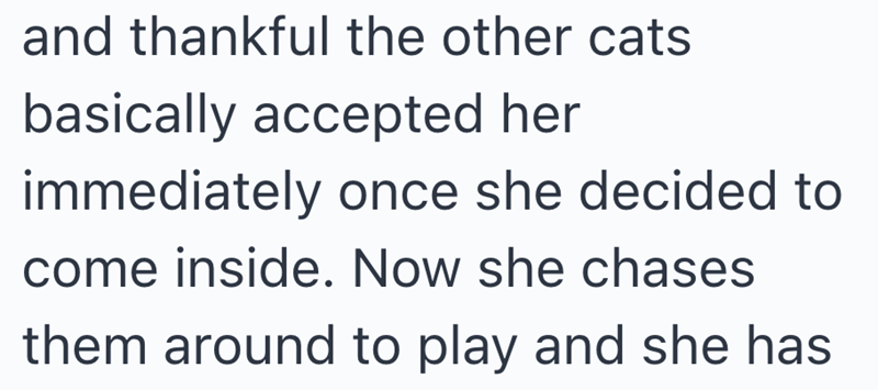 and thankful the other cats basically accepted her immediately once she decided to come inside. Now she chases them around to play and she has