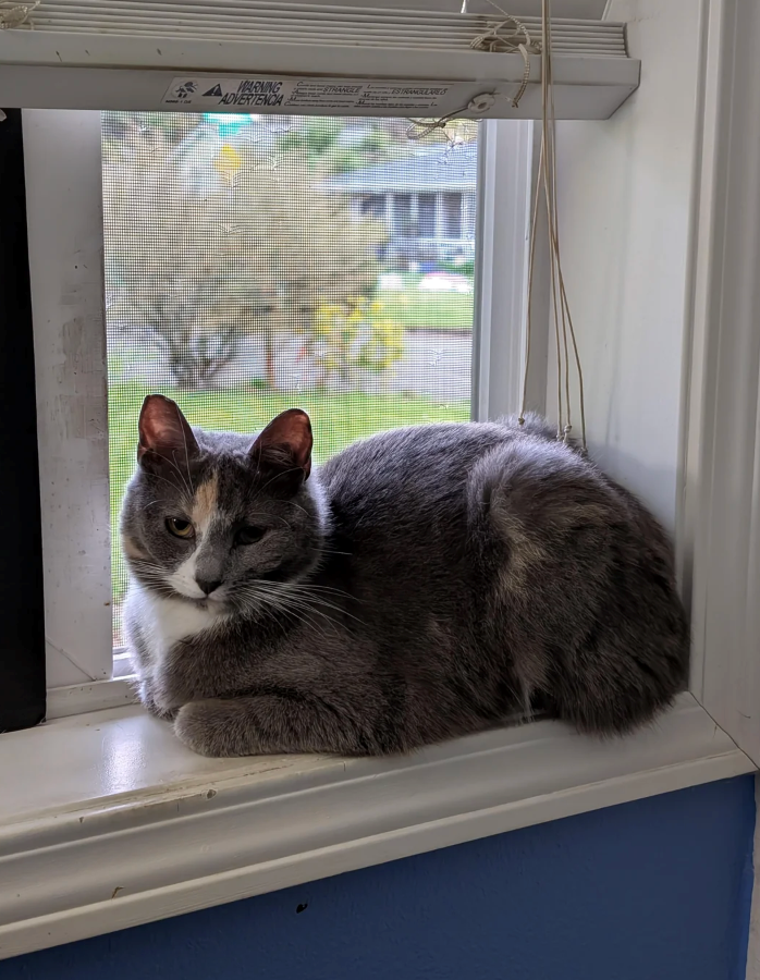 AWARNING ADVERTENCIA