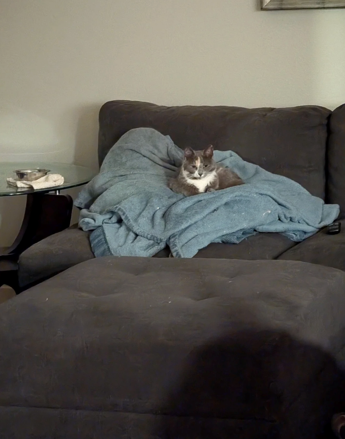 Cheezburger Image 10626580224