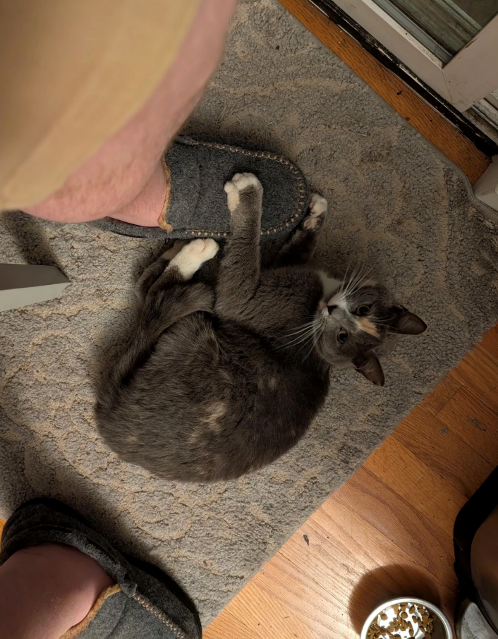 Cheezburger Image 10626581504