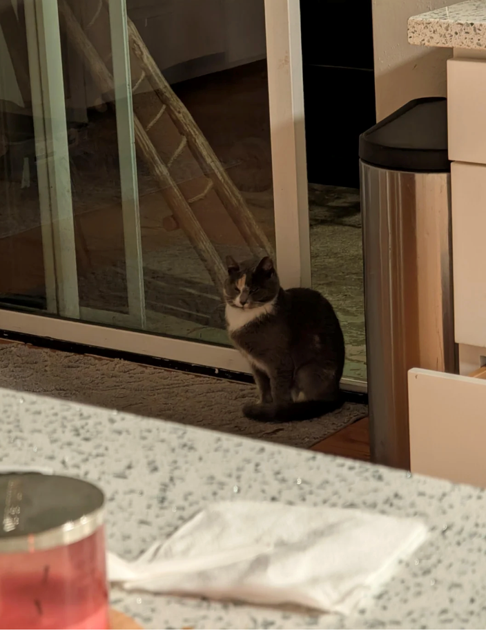 Cheezburger Image 10626582016