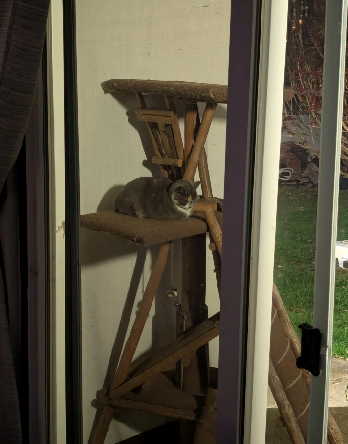 Cheezburger Image 10626582272