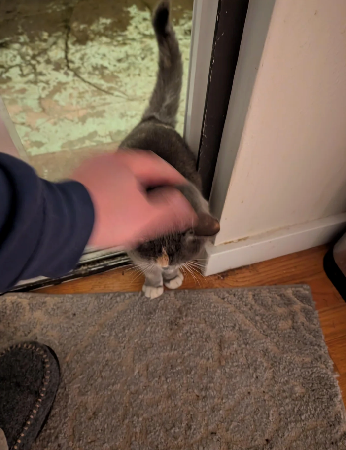 Cheezburger Image 10626582528