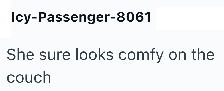 Icy-Passenger-8061 She sure looks comfy on the couch