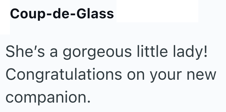 Coup-de-Glass She's a gorgeous little lady! Congratulations on your new companion.