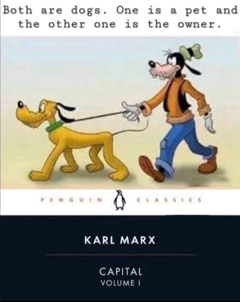 Cheezburger Image 10626591232