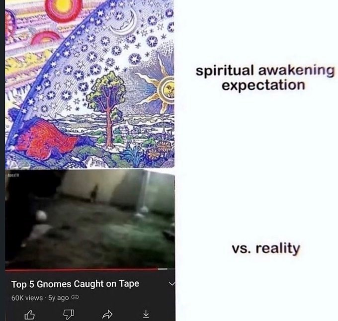 Cheezburger Image 10626592000