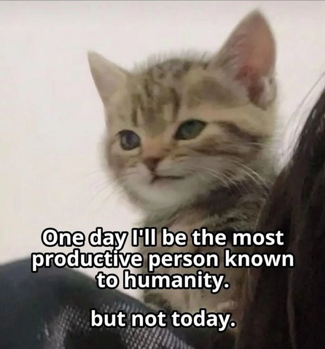 One day I'll be the most productive person known to humanity. but not today.