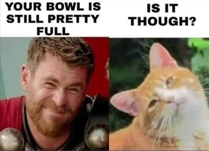 YOUR BOWL IS STILL PRETTY FULL IS IT THOUGH?