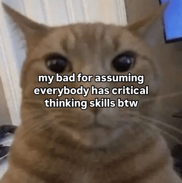 my bad for assuming everybody has critical thinking skills btw