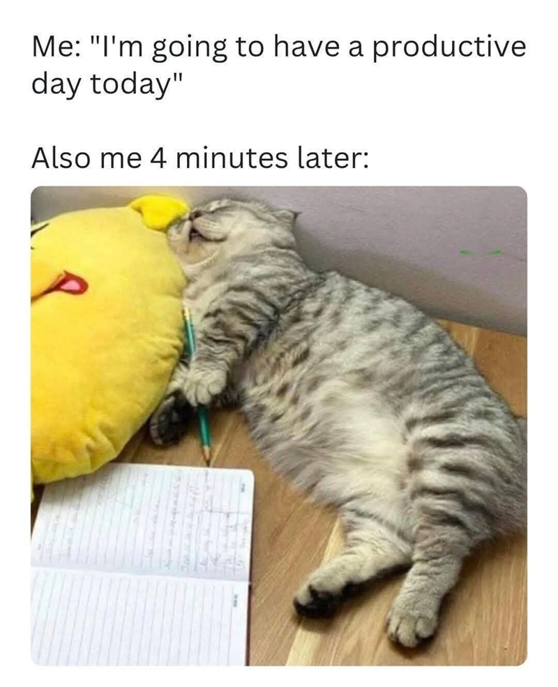 Me: "I'm going to have a productive day today" Also me 4 minutes later: