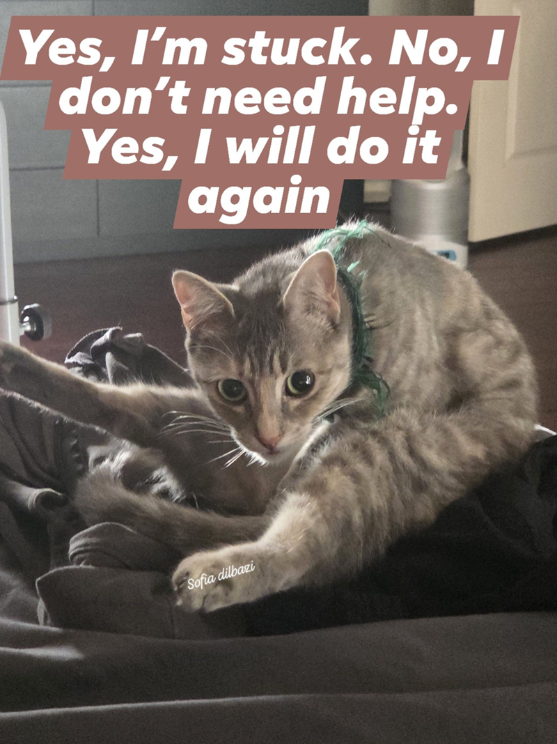 Yes, I'm stuck. No, I don't need help. Yes, I will do it again Sofia dilbazi