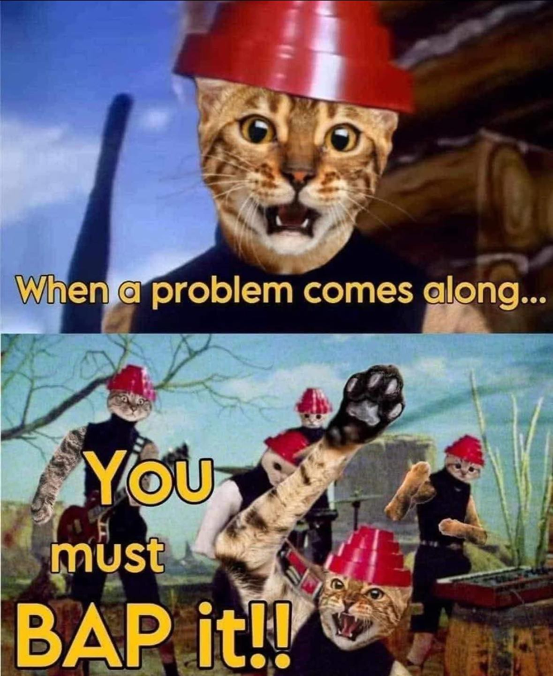 When a problem comes along... You must BAP it!!