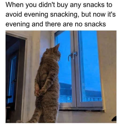 When you didn't buy any snacks to avoid evening snacking, but now it's evening and there are no snacks