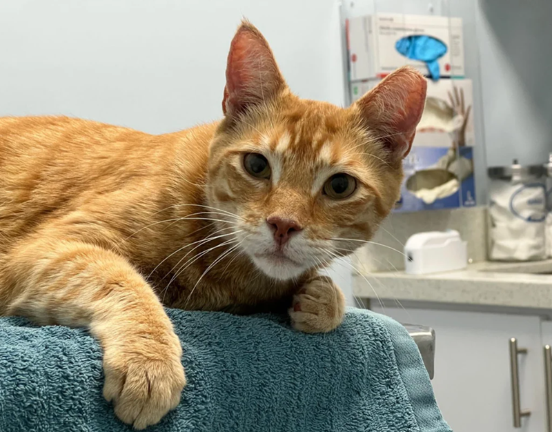 Cheezburger Image 10626615040