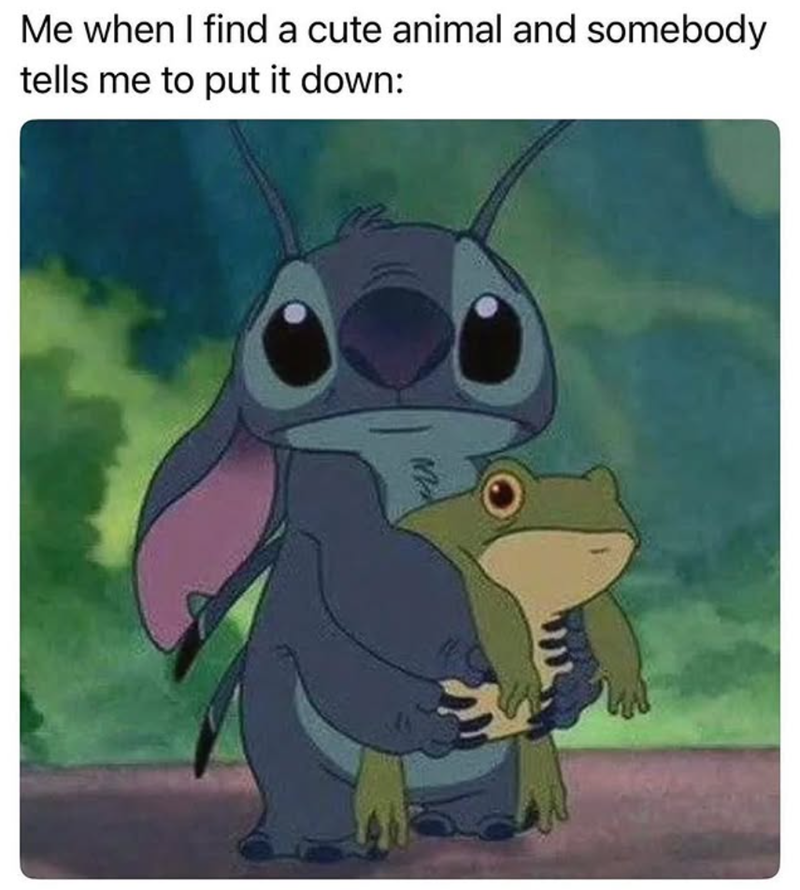 Me when I find a cute animal and somebody tells me to put it down: M