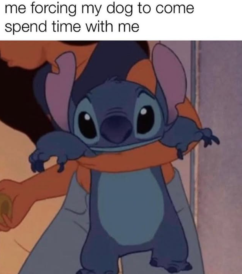 me forcing my dog to come. spend time with me