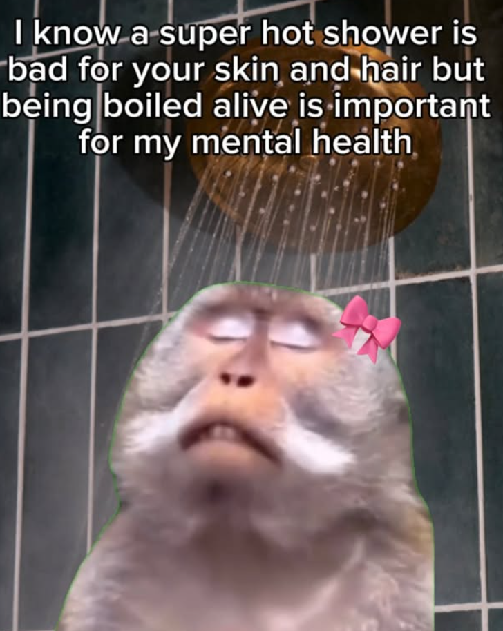 I know a super hot shower is bad for your skin and hair but being boiled alive is important for my mental health