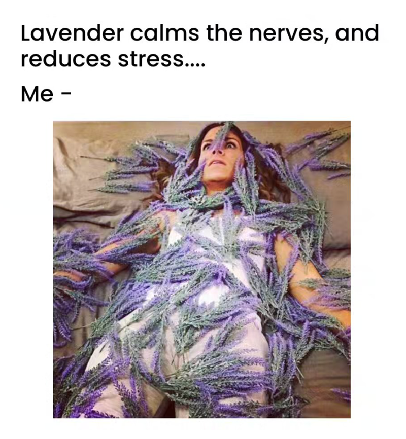 Lavender calms the nerves, and reduces stress.... Me -