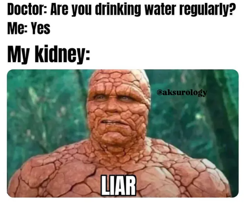 Doctor: Are you drinking water regularly? Me: Yes My kidney: LIAR Baksurology