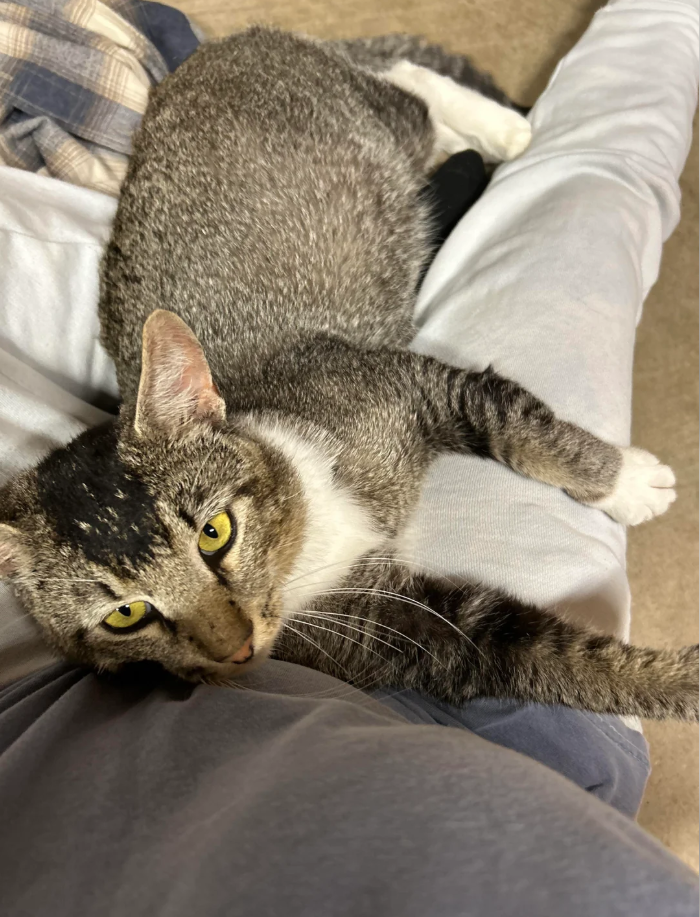 Cheezburger Image 10626629632