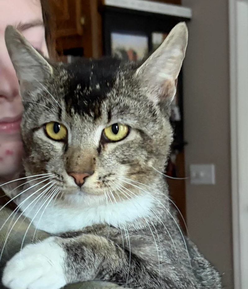 Cheezburger Image 10626629888