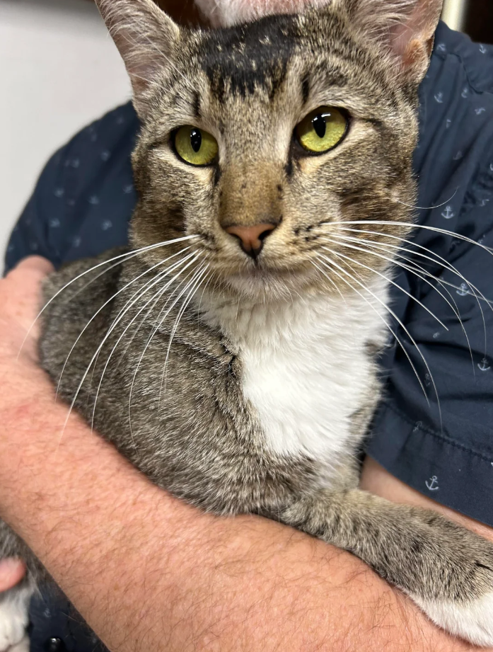 Cheezburger Image 10626630144