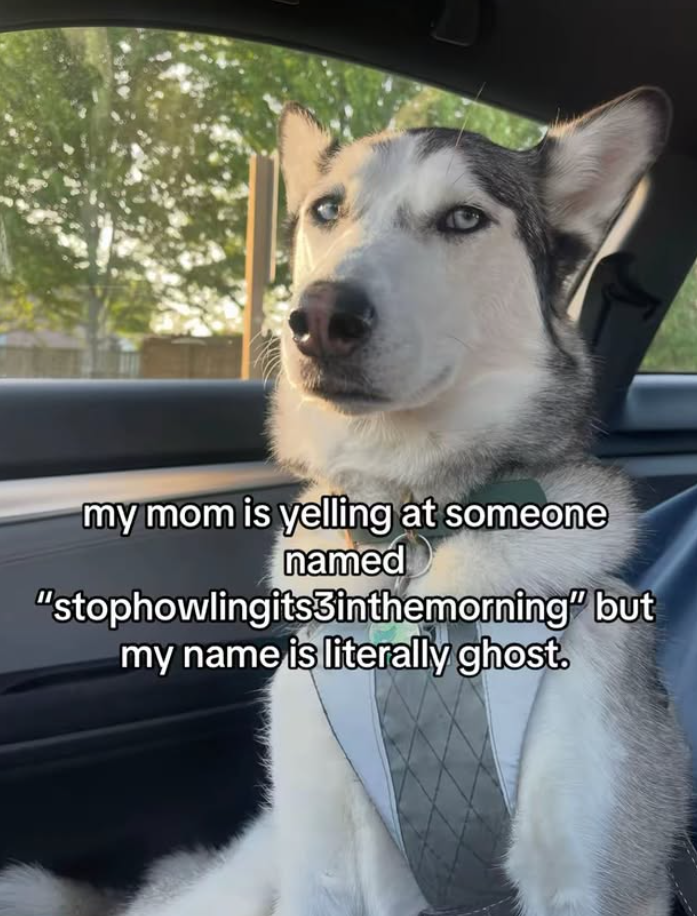 my mom is yelling at someone named "stophowlingits3inthemorning" but my name is literally ghost.