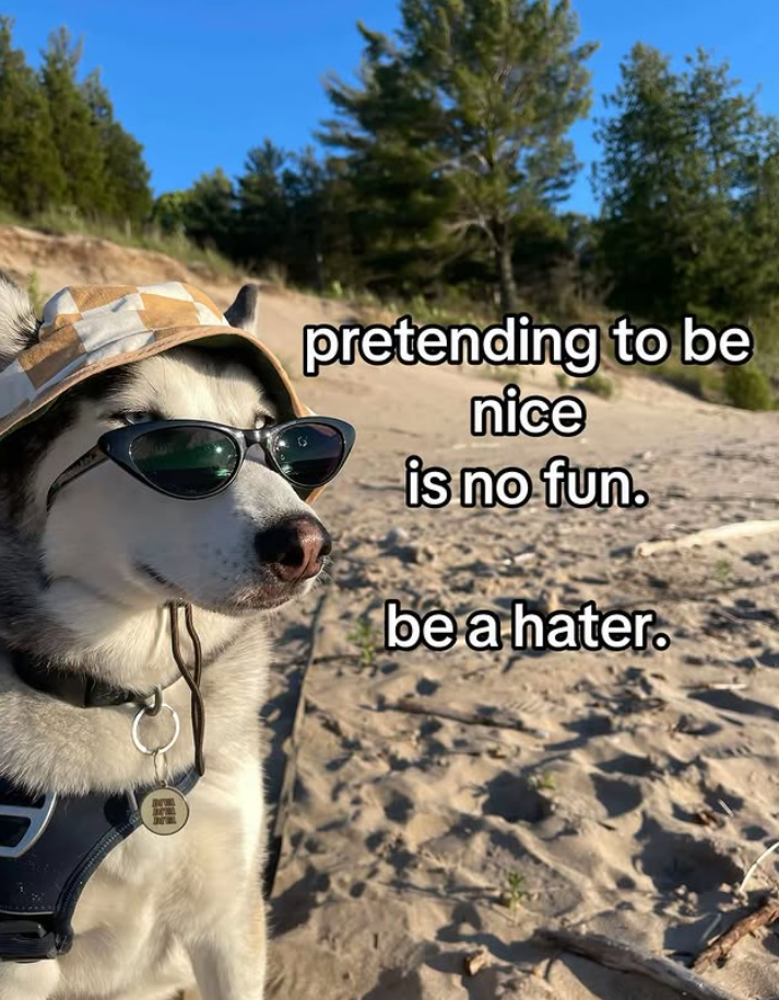 pretending to be nice is no fun. be a hater.