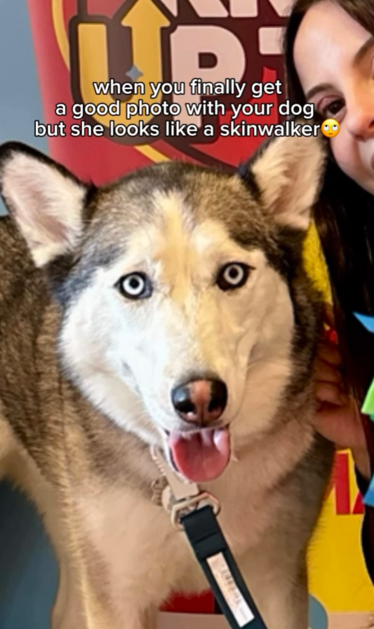 when you finally get a good photo with your dog but she looks like a skinwalker