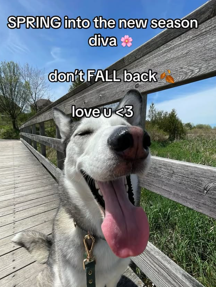 SPRING into the new season diva**** don't FALL back love u <3