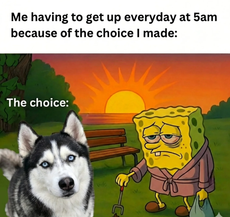 Me having to get up everyday at 5am because of the choice I made: The choice: NE vile