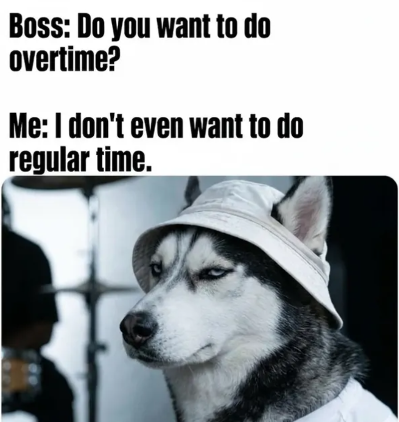 Boss: Do you want to do overtime? Me: I don't even want to do regular time.