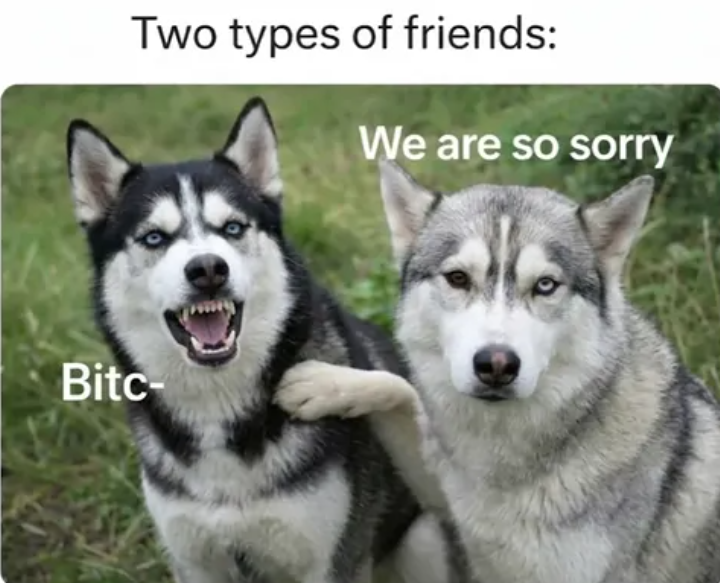 Two types of friends: We are so sorry Bitc