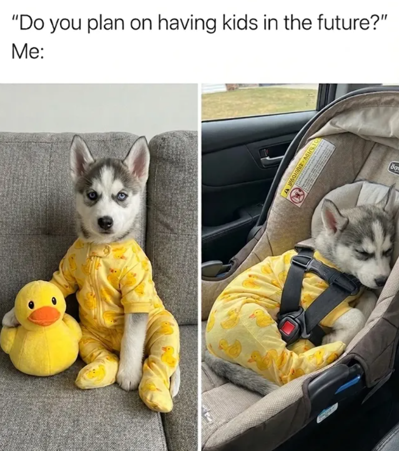 "Do you plan on having kids in the future?" Me: Be