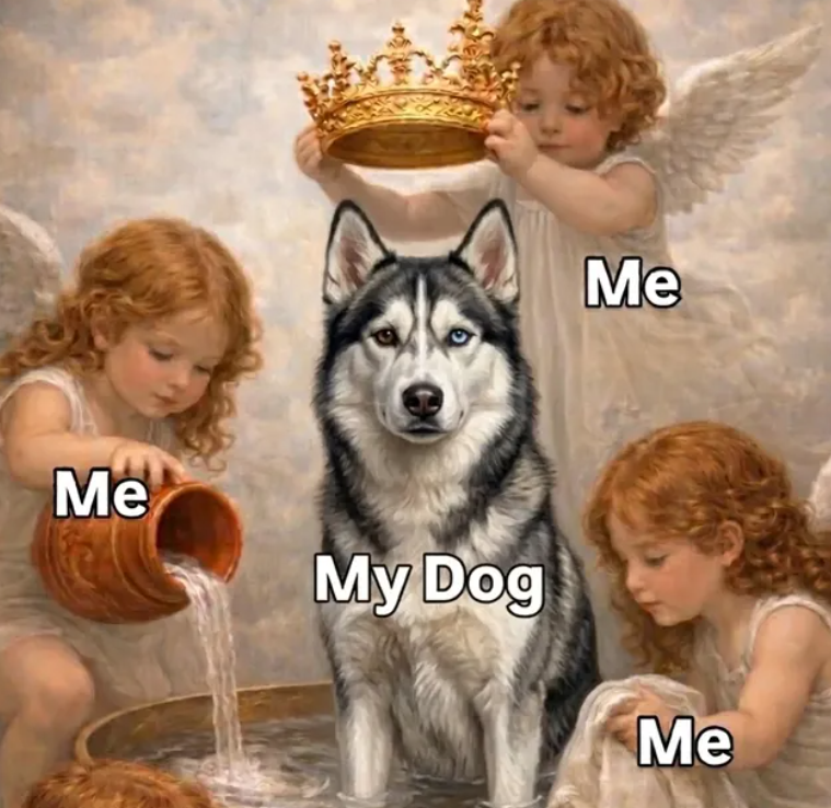 Me My Dog Me Me