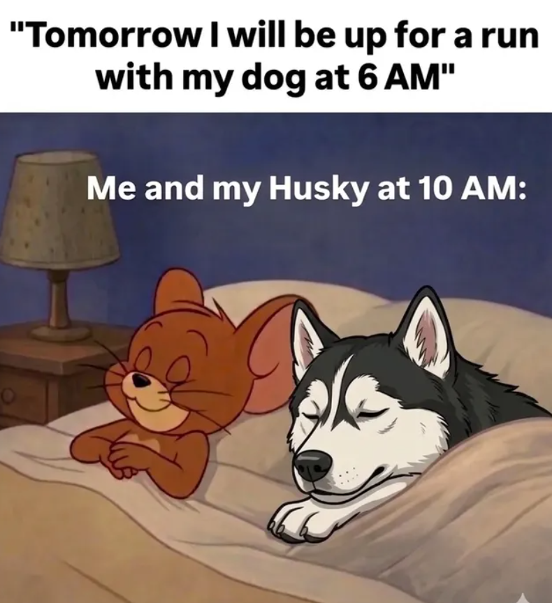 "Tomorrow I will be up for a run with my dog at 6 AM" Me and my Husky at 10 AM:
