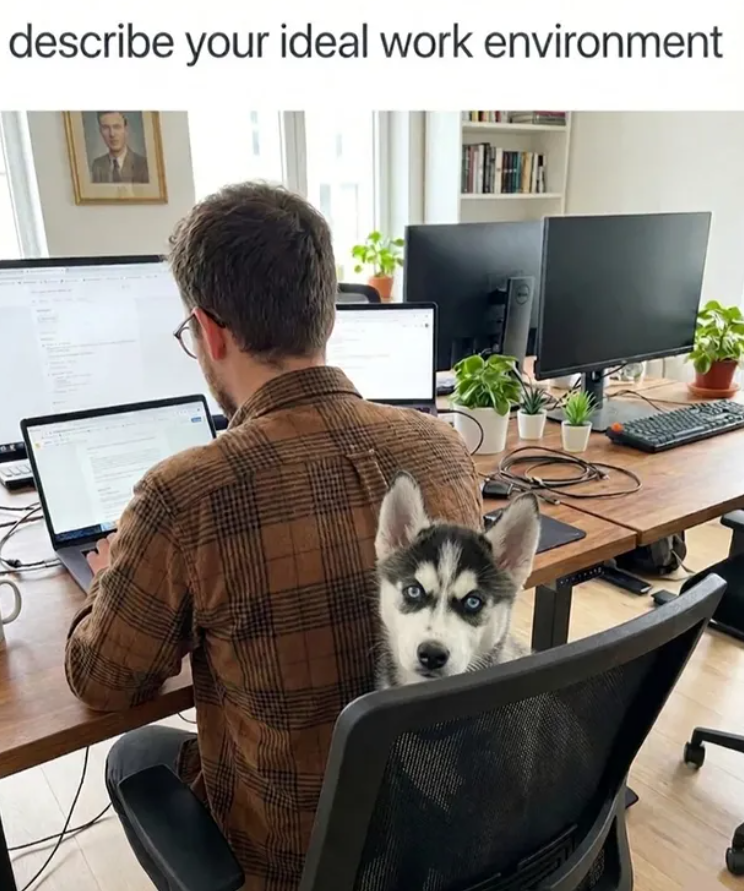 describe your ideal work environment