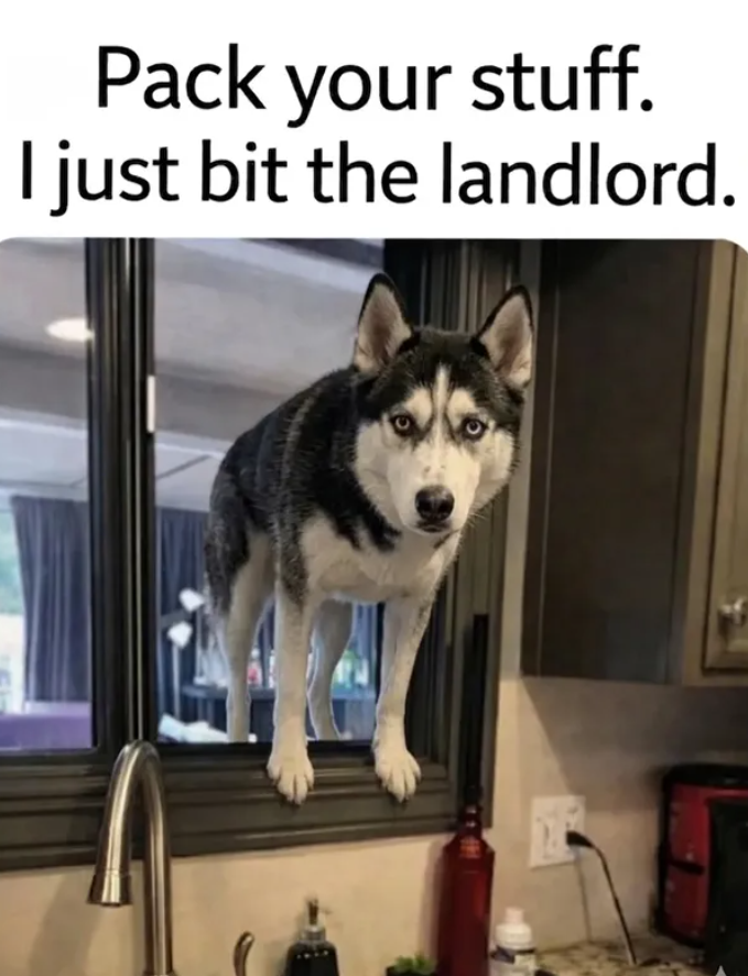 Pack your stuff. I just bit the landlord.